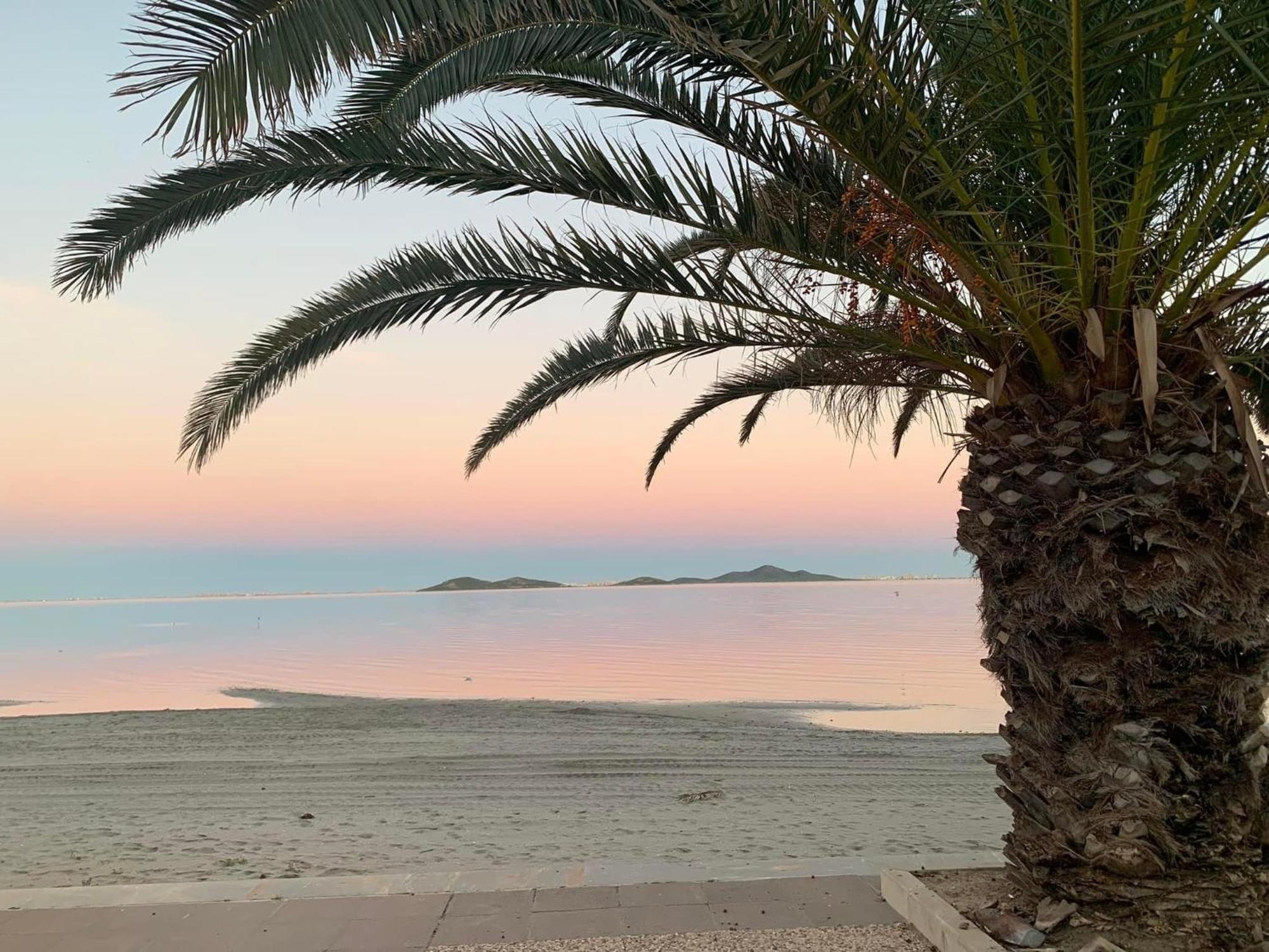 Apartamento Mar Menor, Los Urrutias - Beachfront Apartment With Patio Under New Management Since July 2024 Cartagena Eksteriør billede